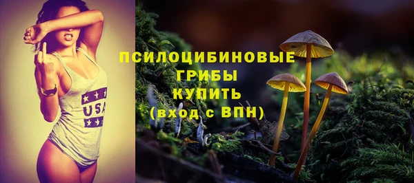 а пвп мука Алзамай