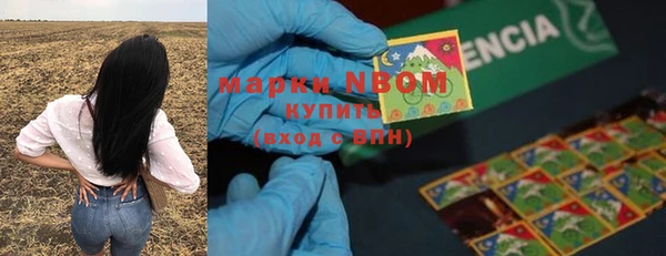 а пвп мука Алзамай