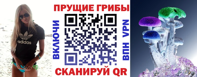 Галлюциногенные грибы мицелий  купить  цена  Енисейск 